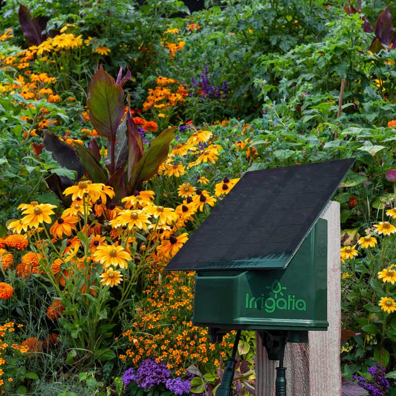SOL-C12 - Solar Automatic Watering System